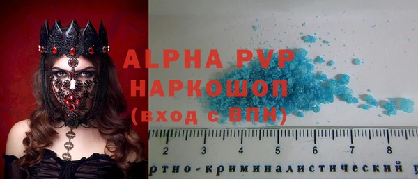 крисы Алзамай