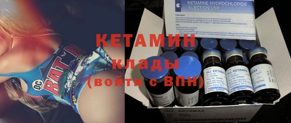 крисы Алзамай