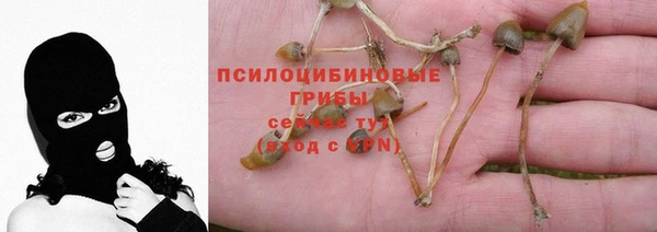синтетический гашиш Алексин